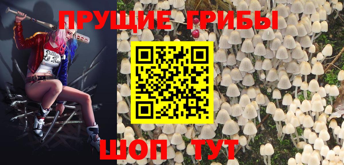 Галлюциногенные грибы Cubensis  Вход с VPN  Приморско-Ахтарск 