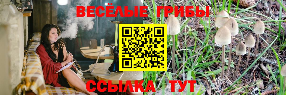 Псилоцибиновые грибы прущие грибы Приморско-Ахтарск